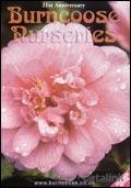 Burncoose Nurseries