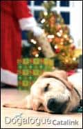 Guide Dogs for the Blind 