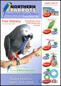 Northern Parrots 