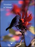 Geodyssey Trinidad and Tobago Brochure