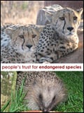 Peoples Trust for Endangered Species