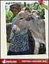 Send A Cow Catalogue