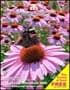 Thompson & Morgan Seeds Catalogue