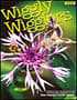 Wiggly Wigglers Catalogue