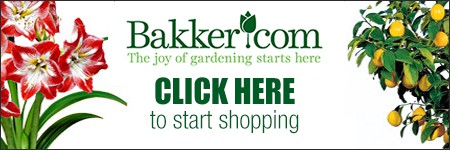 CLICK HERE to visit the Bakker website