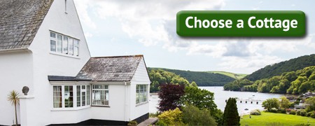 CLICK HERE for wonderful cottage accommodation!