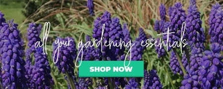 Click Here To Transform Your Garden!