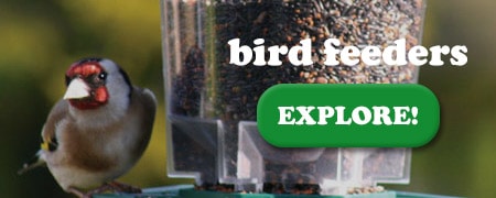 Click Here To Shop Bird Feeders!