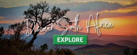 CLICK HERE for South African adventures!