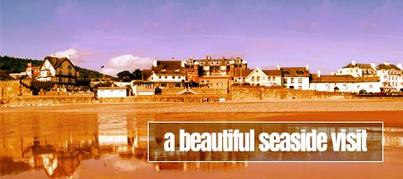 Banner CLICK HERE to visit the official website