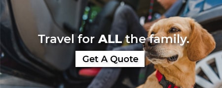 CLICK HERE to receive a quote!
