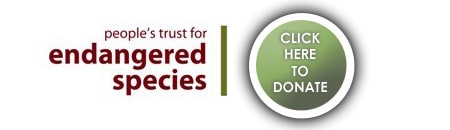 Click Here to donate